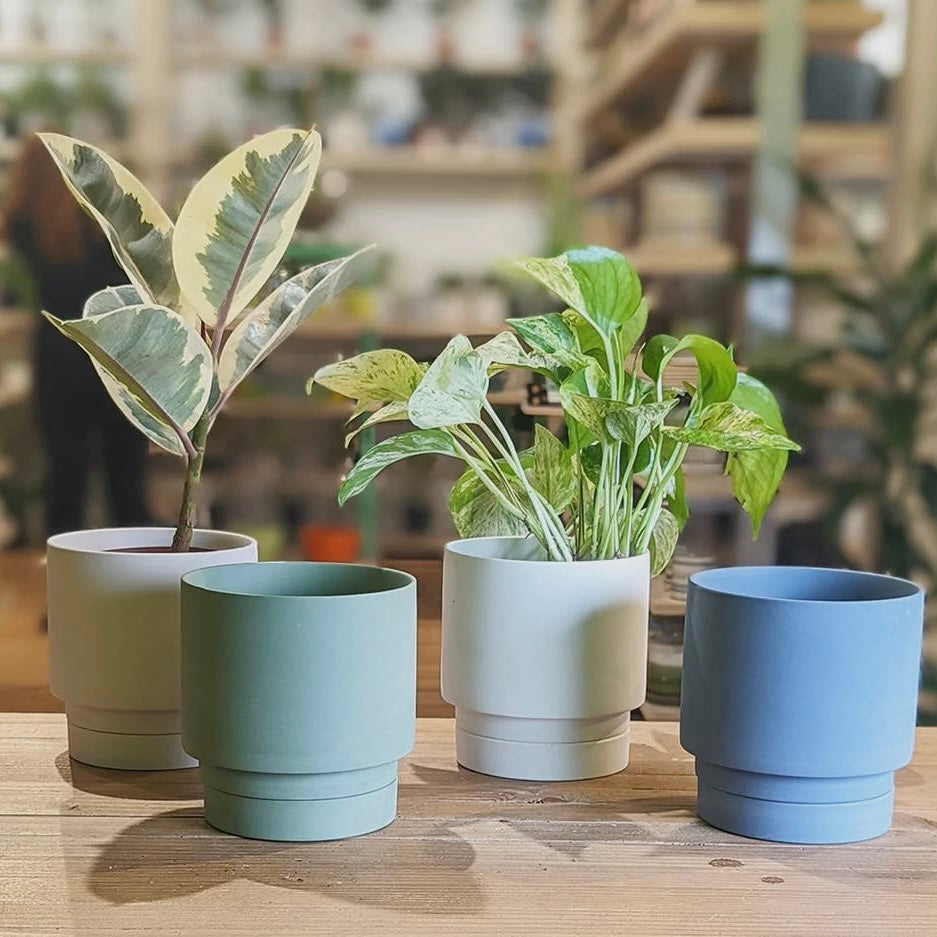 Plant Pots