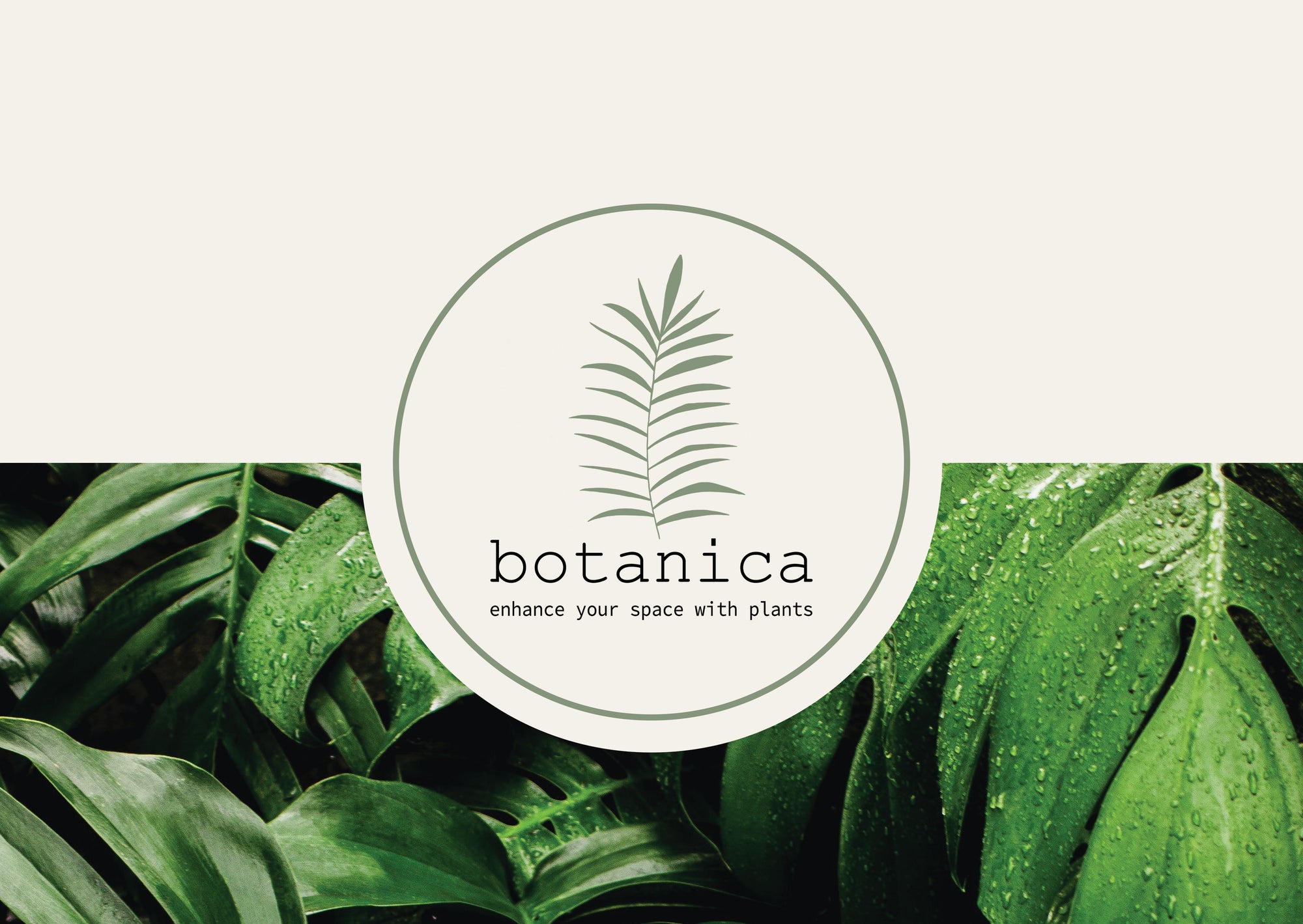 The Brand – Botanica Plant Store