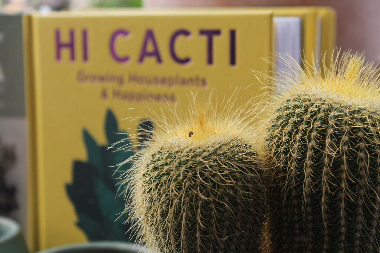 Hi cacti book